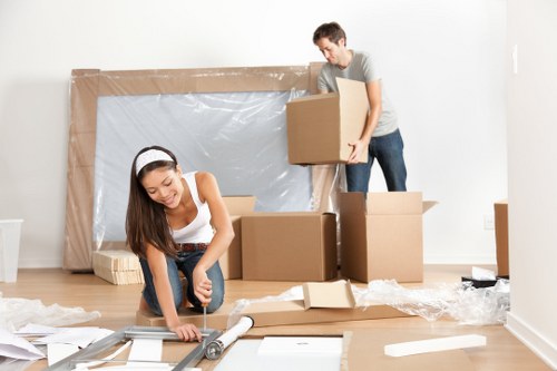 Accessibility statement introduction for Newham removals website