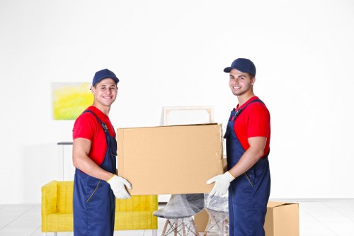 Internal investigation of a removals issue