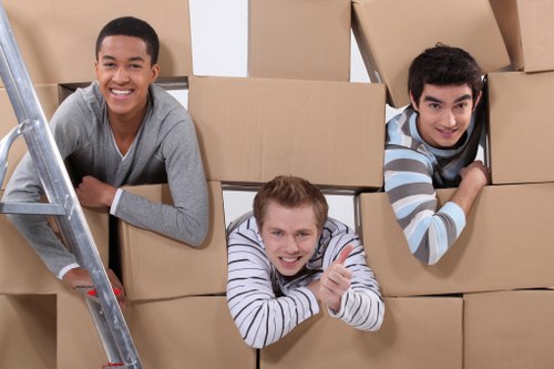 Review stage of a removals complaint procedure