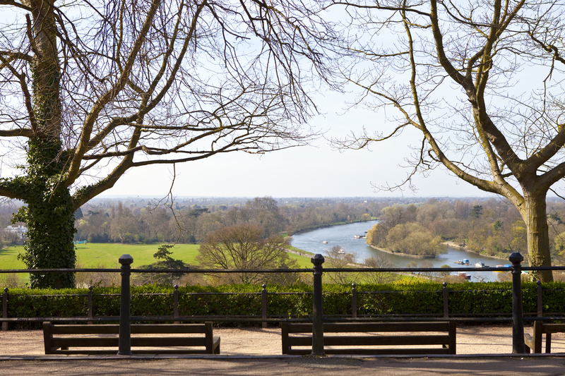 A Calm and Controlled Approach to Moving House